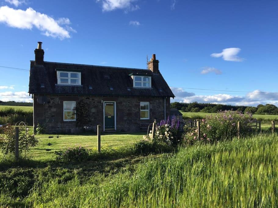 Blackhill Farm Cottage Perth Extérieur photo