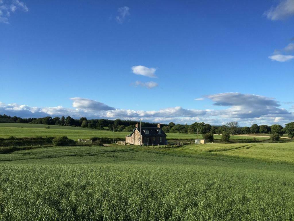 Blackhill Farm Cottage Perth Extérieur photo